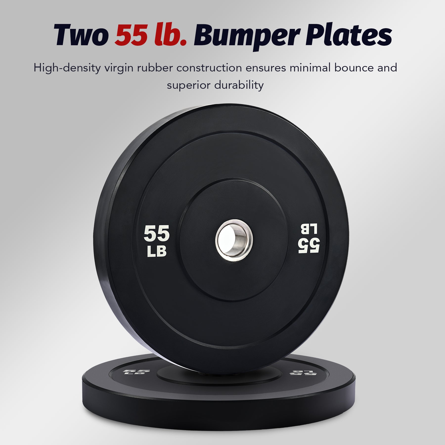 Pair of black weight plates with '55 LB' marking on a white background