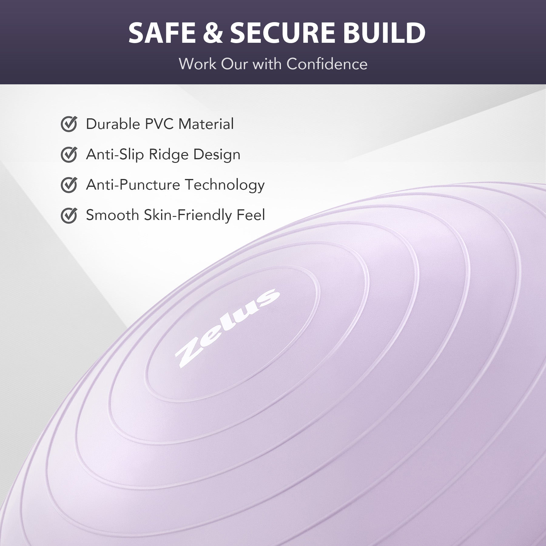 Lilac Fitness Balance ball Trainer