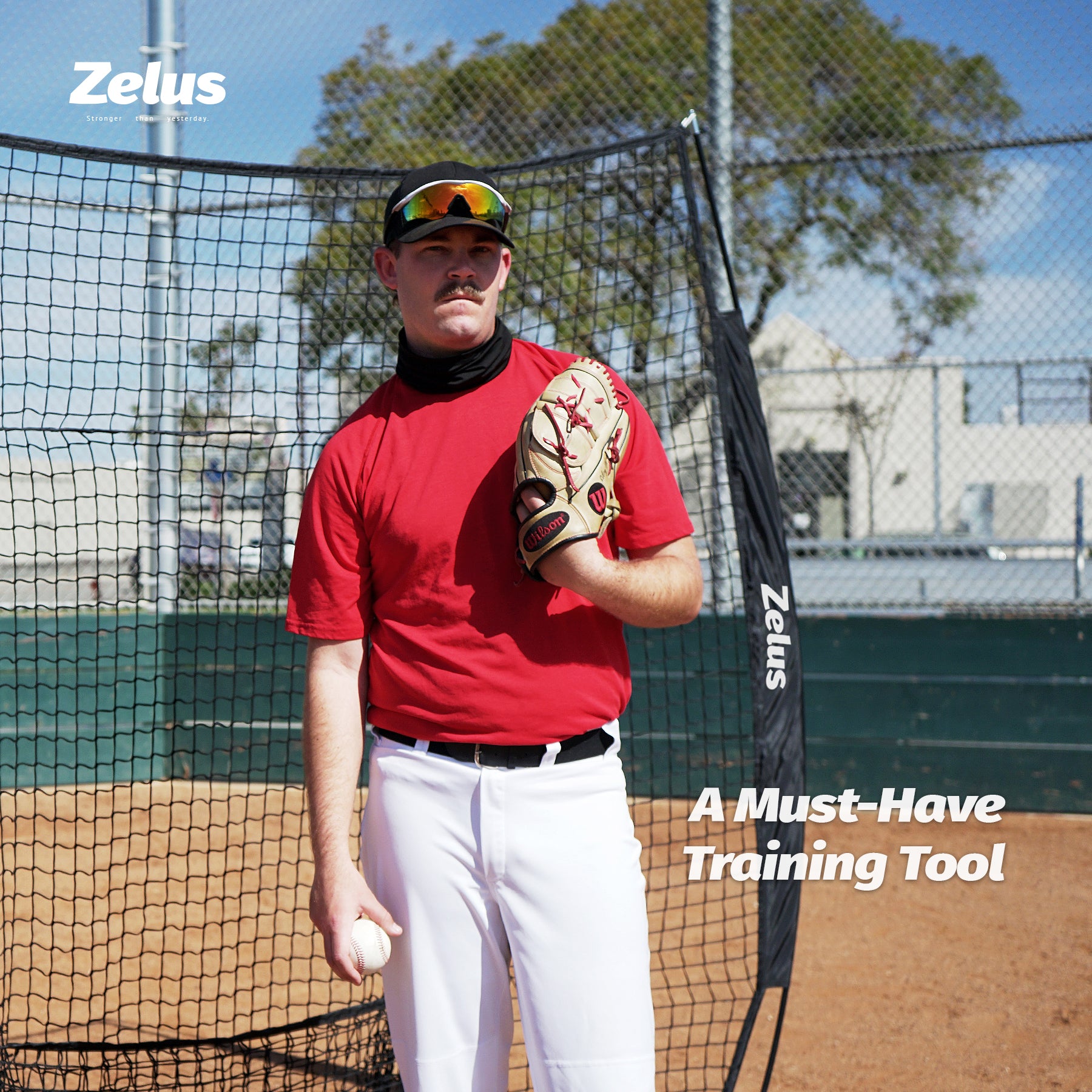 Zelus pitching machine and net system with balls