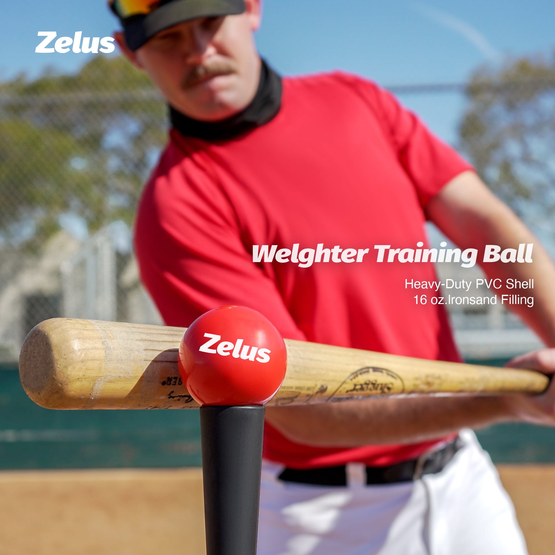 Zelus pitching machine and net system