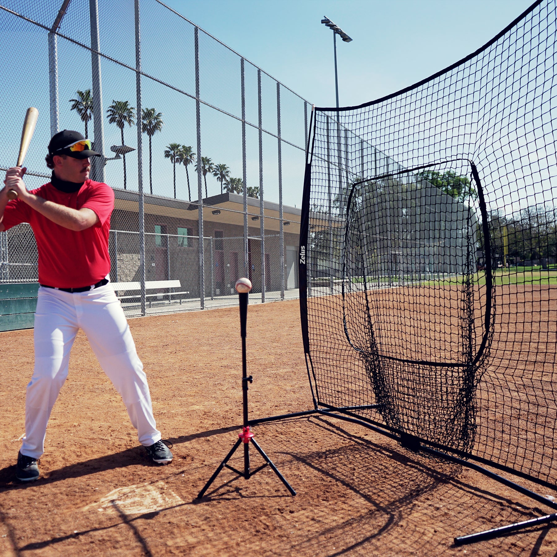 Zelus pitching machine and net system with balls
