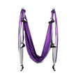 Aerial Silk Yoga Swing Set, Purple